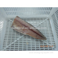 Chinese Frozen Seafood Mackerel Fillet With EU Standard